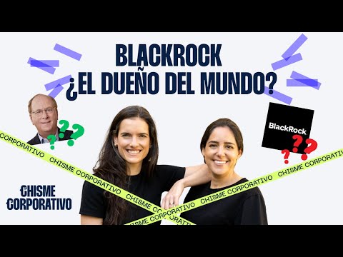 13. BlackRock: ¿El dueño del mundo?
