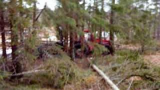 preview picture of video 'Årets skogsavverkning i bolka 08-09'