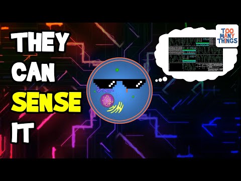 Tick-Tock: Is It Feeding O'Clock? (Hallmarks Of Aging Ep. 7, Deregulated Nutrient Sensing)