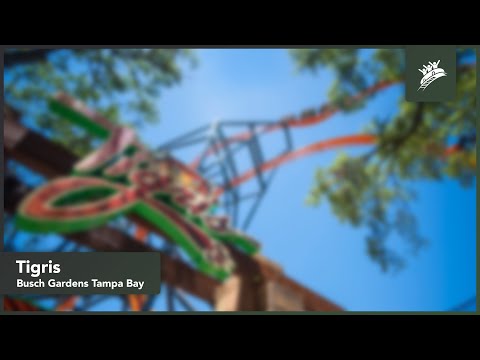 Tigris short video by Theme Park Music