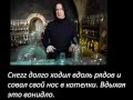 гарри поттер юмор цитаты из фанфиков)) 