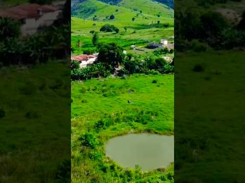 Olha Essa Fazenda em Minas 😱 7 Represas, Rio e Produção de Leite! 33.99902.8393 WHATSAPP