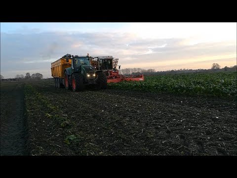The Best of Sugar Beet 2017 | Harvesting| Loading | Transporting