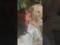 Dhavani Bhanushali Kissed Her Doggy Cute Video Dhavani Bhanushali Shorts