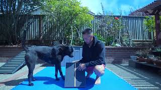 STRONGTEK SLANT BOARD PRODUCT REVIEW