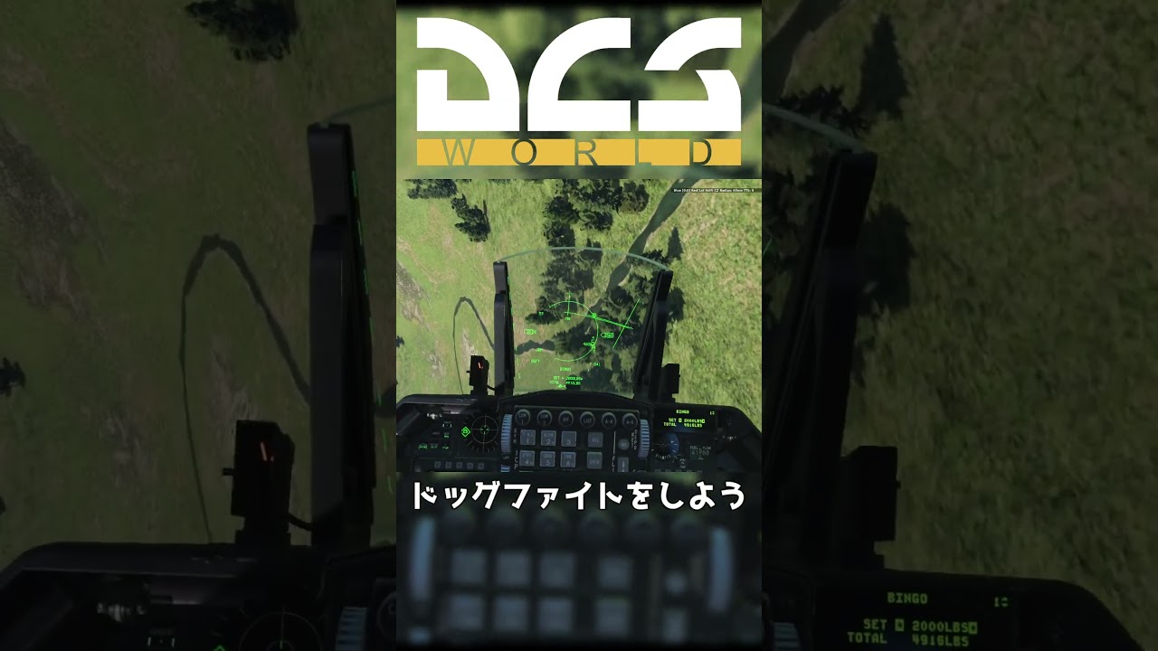ドッグファイトをしよう #dcs #dcsworld #f16