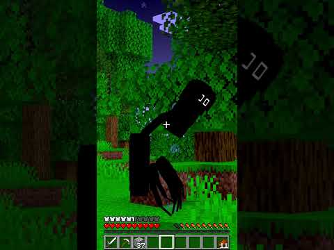 Non hai mai visto questo mostro su Minecraft