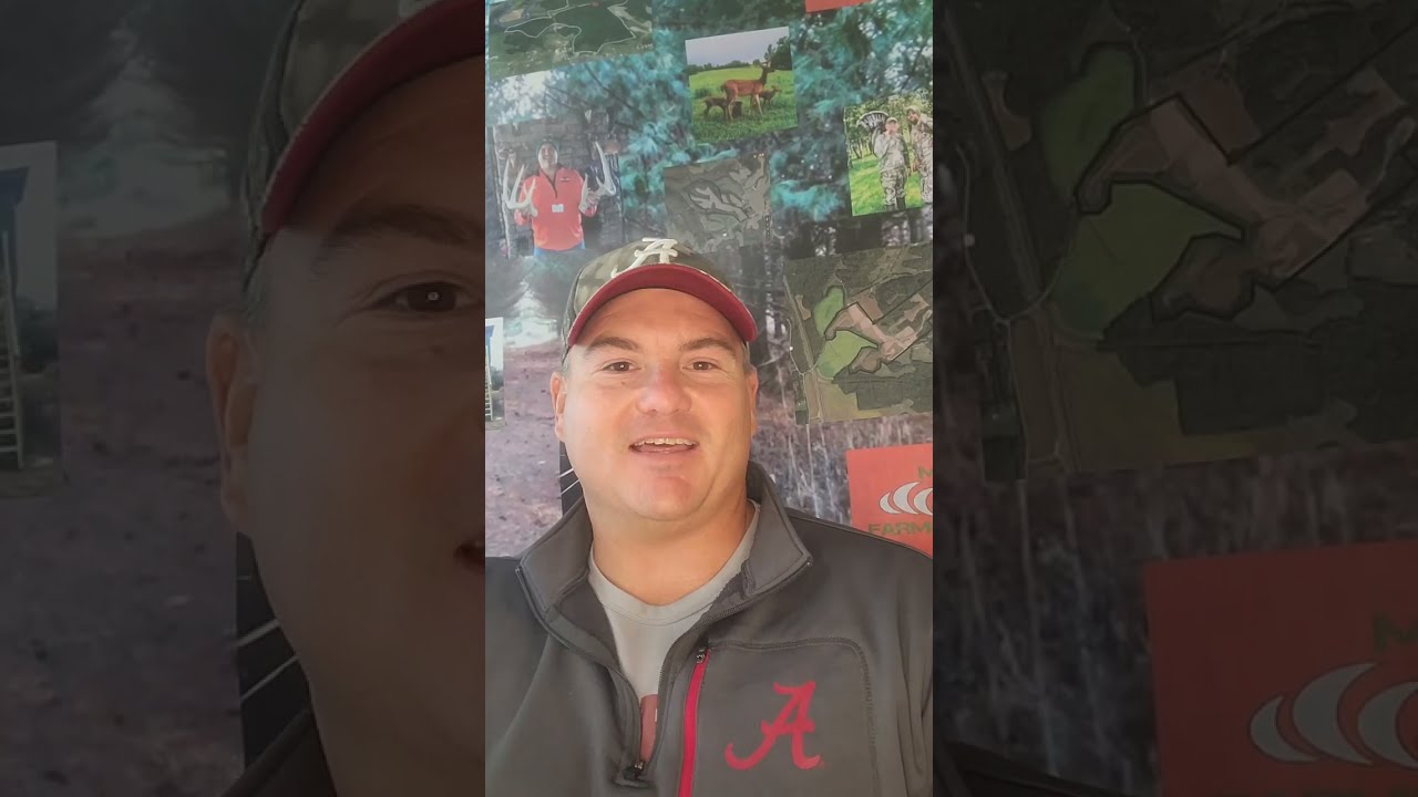 Video Highlights: Merk Farms Hunting Adventures — video thumbnail