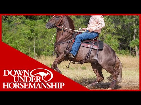 Clinton Anderson: Handling a Rearing Horse - Downunder Horsemanship