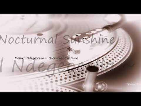 Nocturnal Sunshine ~ Meshell Ndegeocello (feat. Herbie Hancock)