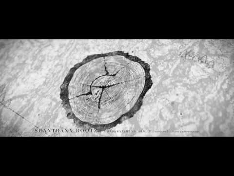 #HWSOrigins | Headhunterz vs. Abject - Scantraxx Rootz | 2007.005