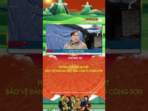 PHÒNG CHỐNG GIÁ RÉT – BẢO VỆ ĐÀN GIA SÚC, GIA CẦM Ở CÔNG SƠN