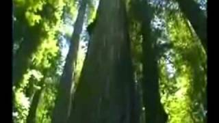 Bonny Portmore - by Loreena McKennitt