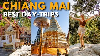 The BEST Chiang Mai Day Trips | Exploring AMAZING Jungle Temple (Wat Pha Lat) & Doi Suthep