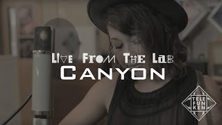 Canyon - 