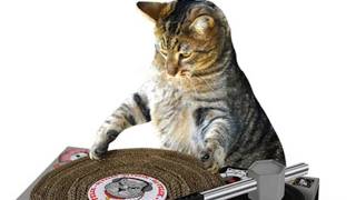 MAKE YOUR CAT A DJ -- and more! LÜT #18