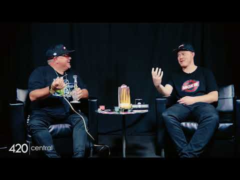 Strain Review Moxie Grape Kush | 420 Central