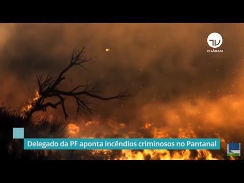 Delegado da PF aponta incêndios criminosos no Pantanal - 25/03/21