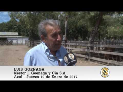 19-01-17 Nota Luis Goenaga - Nestor I. Goenaga y Cia S.A. - Azul.