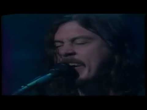 BUTTHOLE SURFERS PEPPER ON DAVID LETTERMAN