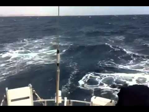 Milanto 46 Nautor Swan Sailing from Almeria to Gibraltar