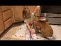 3-Year-Old Girl and Giant Rabbit Get Into Trouble Together