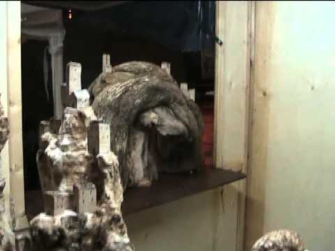 ONDA TG 08.12.2014 - MERCATINI DI NATALE PRATOLA