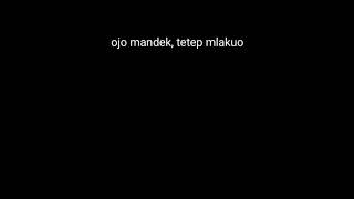 Download lagu Story wa lir ilir sunan kalijaga. mp3
