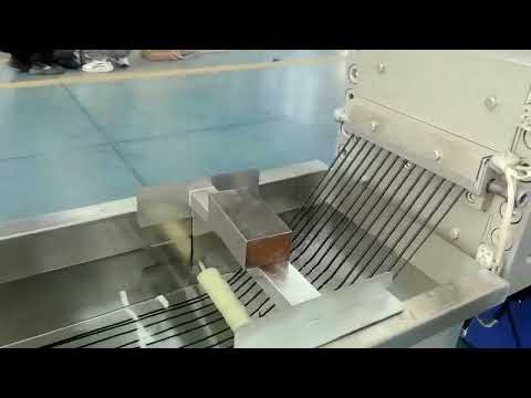 Two Stages Single Screw Extrusion Line