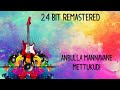 Anbulla Mannavane Mettukudi 24 Bit Remastered