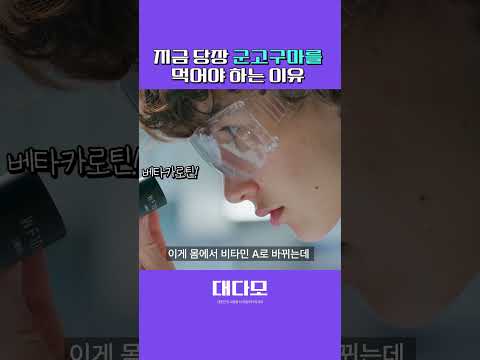 군고구마 도움 많이 된다?