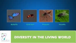 DIVERSITY IN THE LIVING WORLD