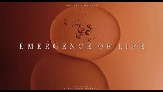 "The Tree of Life" Soundtrack - Emergence of Life