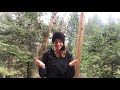 Clapping Patterns Part 1