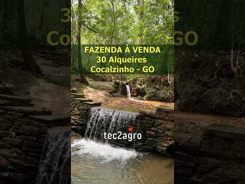 🌱 30 ALQUEIRES #fazenda #tec2agro