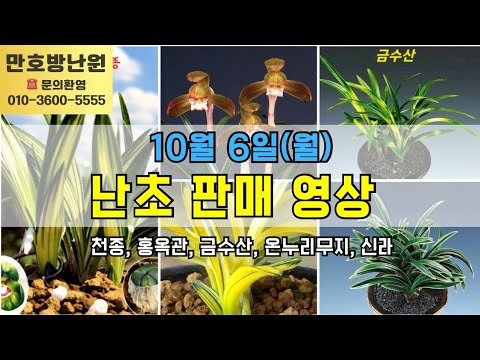 유튜브 썸네일