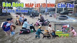 BÁO ĐỘNG CẦN THƠ NGẬP LỤT TỚI ĐỈNH - LŨ SÔNG MEKONG LÊN QUÁ NHANH KHẮP NƠI CHÌM TRONG BIỂN NƯỚC