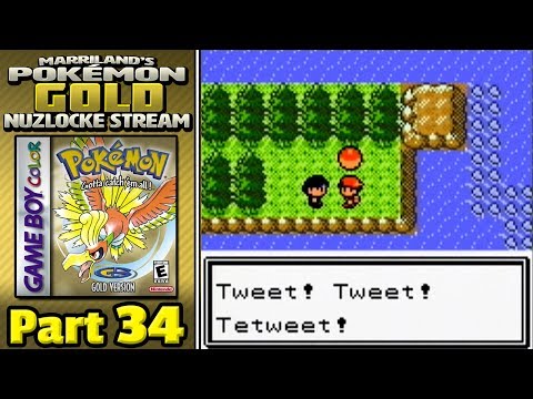 Pokémon Gold Nuzlocke, Part 34: Follow Him On Twitter!