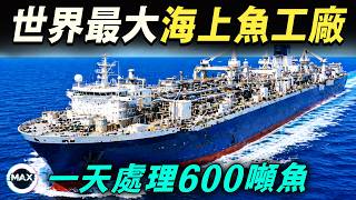 世界最大海上魚工廠！26000噸巨船每天加工600噸魚，每秒切片2條，一克都不浪費，停工一天虧100萬盧布！【Max解構世界】