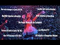 Vocal Showcase Ariana Grande Sweetener Tour Columbia Vocal Range Eb3 A5 B5 G 6