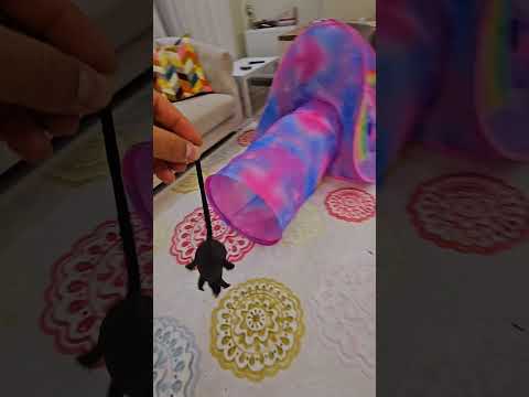 Evde salonda tünel çadırın içine saklandılar.#shorts