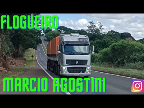 DIA A DIA DE FLOGUEIRO NAS PEDRAS EM MANDAGUARI PR