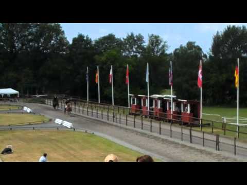 Kronshof-Special 2011 - Video 1 (FR) - www.isibless.de