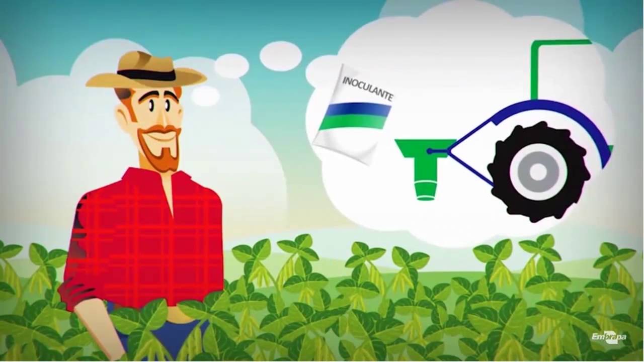 Fixação Biológica de Nitrogênio - FBN: inoculantes para soja