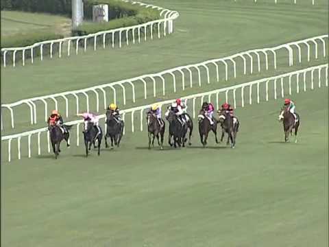 Premio Giuseppe De Montel 2012 (LISTED RACE)