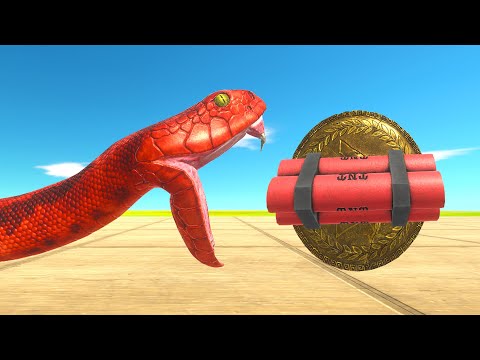 Dynamite Shield vs Units | Animal Revolt Battle Simulator