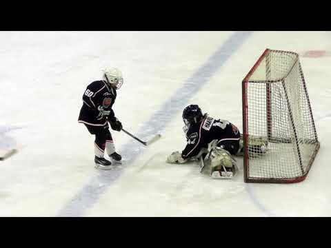 Leijonaliiga HeKi Skiekko 17012019