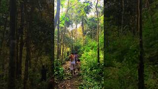 Download lagu Pagi yang syahdu 🌻 #mandi #sungai #suasanapedesaan #panorama #shorts #shortvideo #shortsyoutube mp3 Download lagu Pagi yang syahdu 🌻 #mandi #sungai #suasanapedesaan #panorama #shorts #shortvideo #shortsyoutube mp3