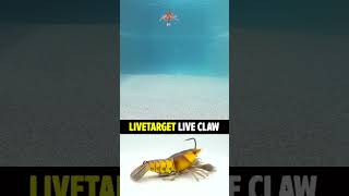 How good is the new LIVETARGET Live Craw for Bass Fishing Anglers?