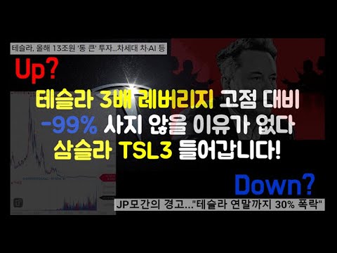 삼슬라 TSL3 ㄱㄱ  테슬라 3배 레버리지 고점 대비 -99% 사지 않을 이유가 없다.
